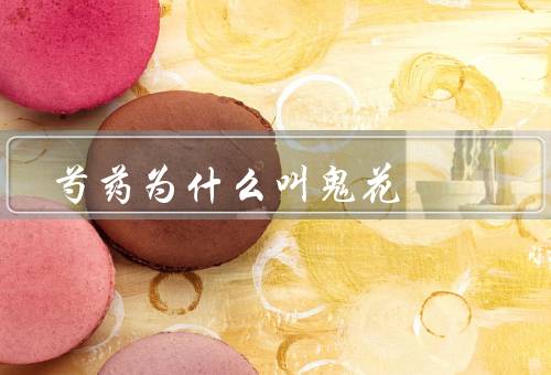芍药为什么叫鬼花