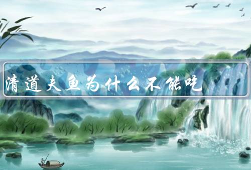 清道夫鱼为什么不能吃