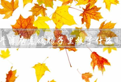 赵斗淳在素媛肠子里放了什么