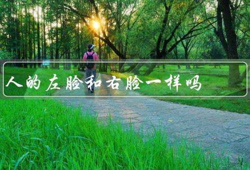 人的左脸和右脸一样吗