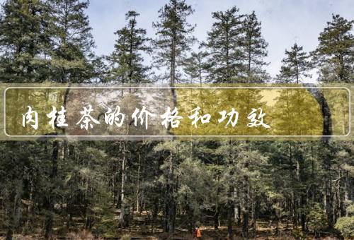 肉桂茶的价格和功效