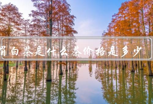 贡眉白茶是什么茶价格是多少，普遍200元一斤（产自武夷山的白茶）