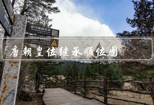 唐朝皇位继承顺位图