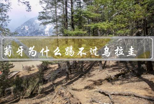葡萄牙为什么踢不过乌拉圭