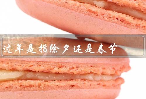 过年是指除夕还是春节