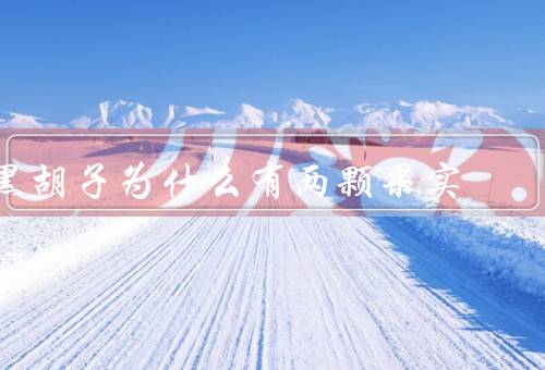 黑胡子为什么有两颗果实