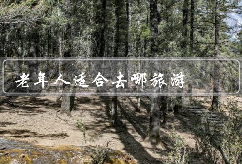 老年人适合去哪旅游