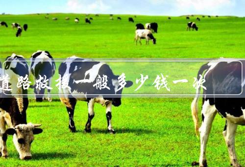 道路救援一般多少钱一次