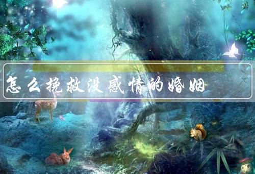 怎么挽救没感情的婚姻