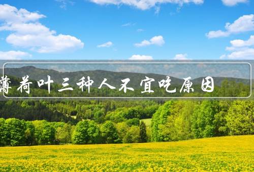 薄荷叶三种人不宜吃原因