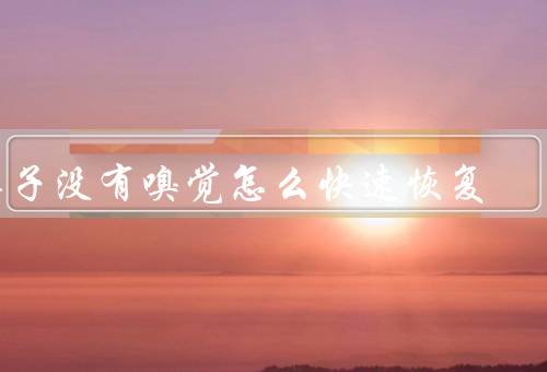 鼻子没有嗅觉怎么快速恢复