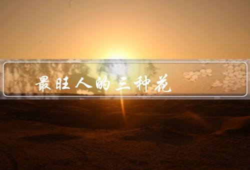 最旺人的三种花