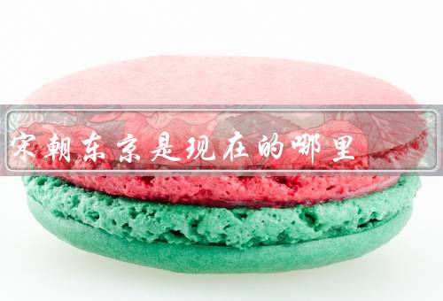 宋朝东京是现在的哪里，河南省开封市（并非是日本东京）