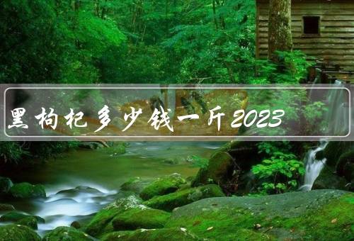 黑枸杞多少钱一斤2023，在100元-300元不等优质
