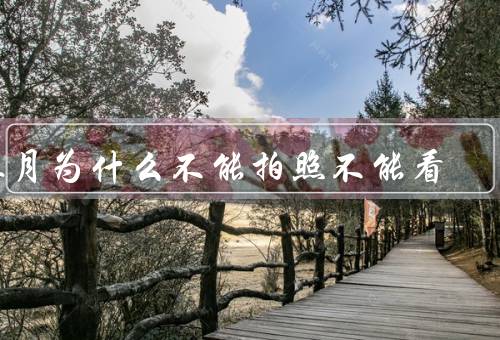 血月为什么不能拍照不能看