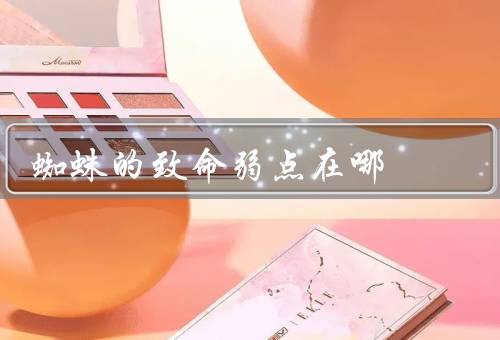 蜘蛛的致命弱点在哪