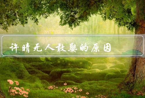 许晴无人敢娶的原因