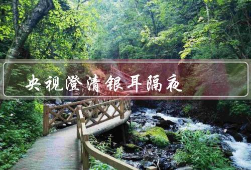 央视澄清银耳隔夜
