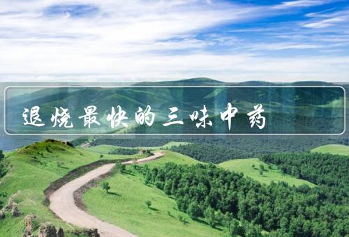 退烧最快的三味中药