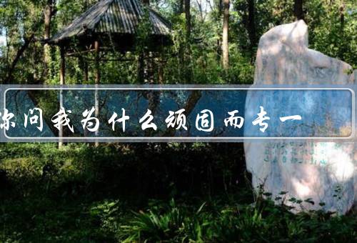 你问我为什么顽固而专一