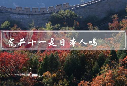 荒井十一是日本人吗，中日混血的他有什么作品