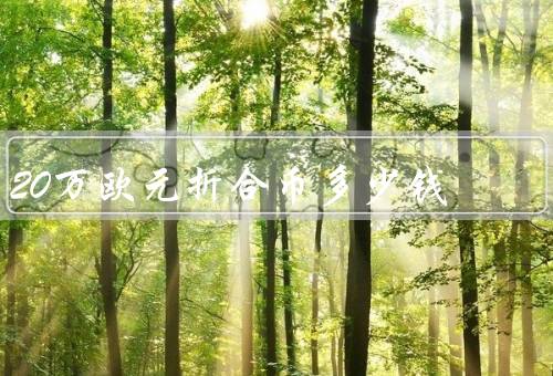 20万欧元折合币多少钱