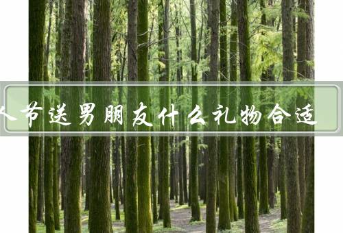 情人节送男朋友什么礼物合适
