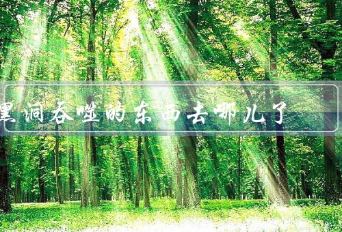 黑洞吞噬的东西去哪儿了