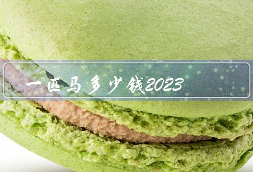 一匹马多少钱2023