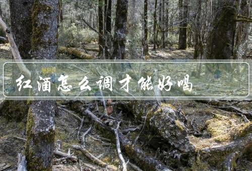 红酒怎么调才能好喝
