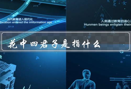 花中四君子是指什么