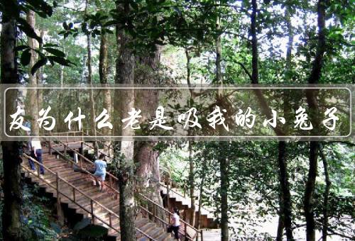 男朋友为什么老是吸我的小兔子