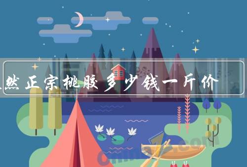 天然正宗桃胶多少钱一斤价
