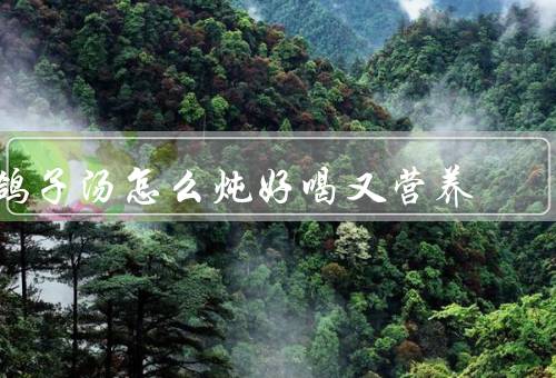 鸽子汤怎么炖好喝又营养