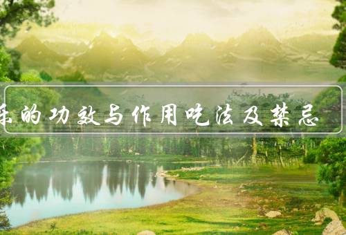 芭乐的功效与作用吃法及禁忌