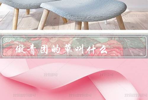 做青团的草叫什么