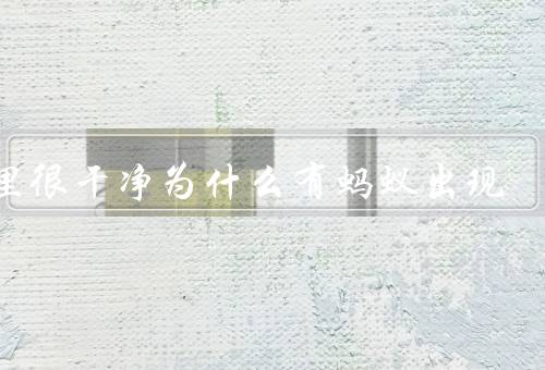 家里很干净为什么有蚂蚁出现