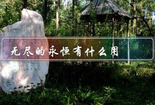 无尽的永恒有什么用