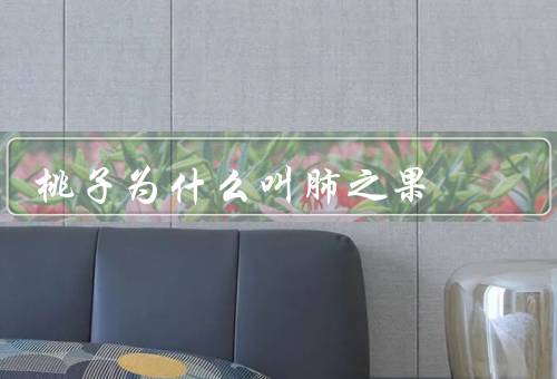 桃子为什么叫肺之果
