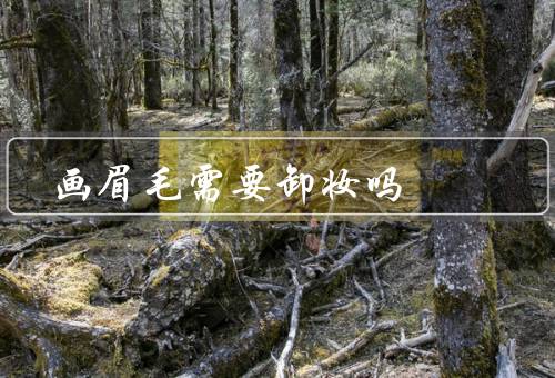 画眉毛需要卸妆吗