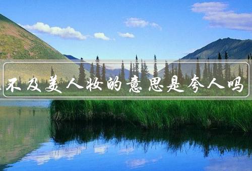芙蓉不及美人妆的意思是夸人吗
