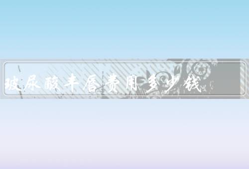 玻尿酸丰唇费用多少钱