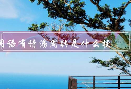 用语有请潘周聃是什么梗