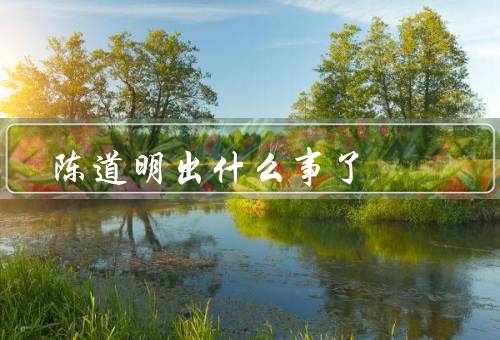 陈道明出什么事了