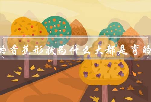 成熟的香蕉形状为什么大都是弯的