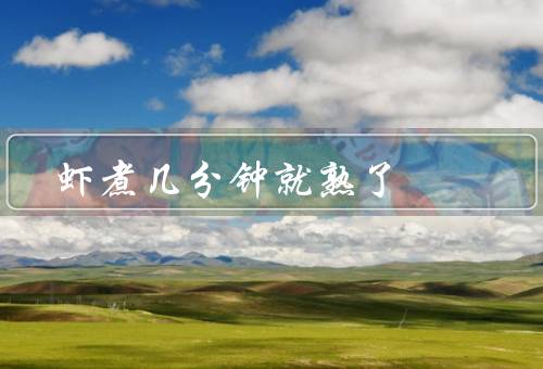 虾煮几分钟就熟了