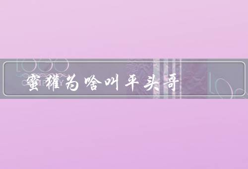 蜜獾为啥叫平头哥