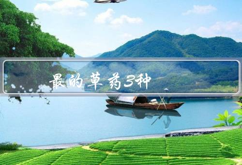 最的草药3种