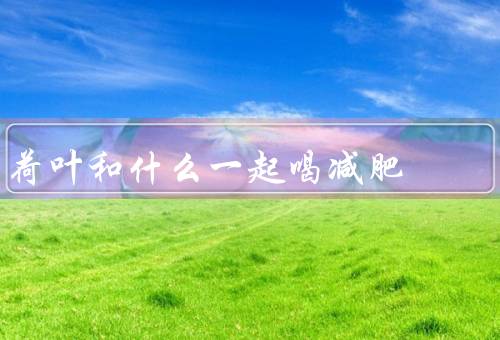 荷叶和什么一起喝减肥