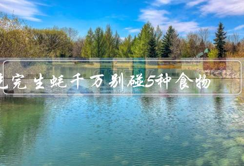 吃完生蚝千万别碰5种食物